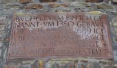 Tour Wandern Sankt Vith - 20230103 - TOTEMUS Saint-Vith - 6.7 Km - Photo 8