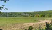 Tour Wandern Esneux - Autour de Ham - Photo 10