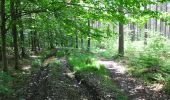 Trail Walking Yvoir - Forêt domaniale de Tricointe - La classique - Photo 2
