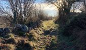 Trail Walking Recoules-d'Aubrac - Pont gourmier Recoules Nasbinals Le Bes - Photo 10