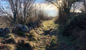 Randonnée Marche Recoules-d'Aubrac - Pont gourmier Recoules Nasbinals Le Bes - Photo 10