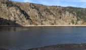 Tocht Stappen Orbey - Lac blanc lac noir musmiss  - Photo 15