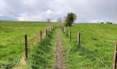 Trail Walking Honnelles - Promenade du caillou qui bique  - Photo 11