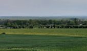 Percorso Marcia Philippeville - Merlemont 100522 - Photo 10