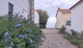 Trail Walking Argelès-sur-Mer - raccou - plage de l'ouillet par terre, retour par sentier littoral - Photo 4