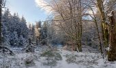 Tocht Stappen Spa - berinzenne entre forêt et fagne  - Photo 18