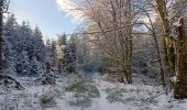 Trail Walking Spa - berinzenne entre forêt et fagne  - Photo 18
