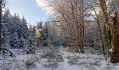 Randonnée Marche Spa - berinzenne entre forêt et fagne  - Photo 18