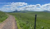 Tocht Stappen Murat-le-Quaire - Borne des roches-Guéry - Photo 10