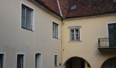 Tour Zu Fuß Pöllauberg - Masenberg über Staudach Weg 16 - Photo 4