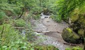 Trail Walking Thiézac - Les Gorges du Pas de Cère - Photo 5