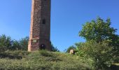 Tour Wandern Schnierlach - La tour du Faudé - Les Alisiers - Photo 5