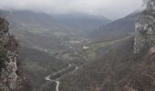 Randonnée Marche Choranche - Les Trois Châteaux-Pont en Royans - Photo 10