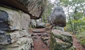 Trail Walking Fontainebleau - Sentier Denecourt 2 - Photo 8