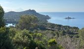 Trail Walking Saint-Raphaël - Le Dramont - Plage du débarquement  - Photo 5