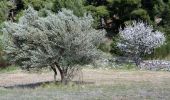 Tocht Stappen La Valette-du-Var - SityTrail - Boucle: Ripelle - Source Ripelle - Tourris - Grottes de sables - Carrière aux fourmis - Ruines des olivières - Touravelle - Ripelle - Photo 11