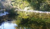 Excursión A pie Tanneron - La chapelle de St Cassien des bois, le pont détruit et au fil de l'eau - Photo 13