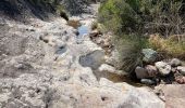 Trail Walking Fréjus - Depuis la Louve en boucle - Photo 19