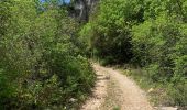 Trail Walking Villes-sur-Auzon - Contreforts du ventoux  - Photo 2