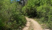 Percorso Marcia Villes-sur-Auzon - Contreforts du ventoux  - Photo 2