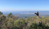 Excursión Senderismo Saint-Raphaël - Collines et vallons de l'Esterel - Photo 12