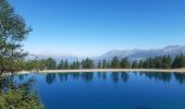 Tocht Stappen Ancelle - crêtes d´Auréous : col de la Moissière . Chatégré . St Philippe . lac de Faudon  - Photo 8