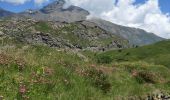 Excursión Senderismo Val-Cenis - tour du lac du Mont Cenis - Photo 11