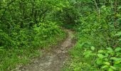 Trail Walking Cheptainville - Forêt Régionale de Cheptainville  - Photo 3