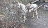 Tour Reiten Niederhaslach - l Umwurf, le Schneeberg son col  retour Niederhaslach  - Photo 4