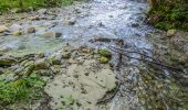 Trail On foot Tujetsch - Sedrun - Mumpé Tujetsch - Photo 1