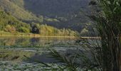 Trail On foot Arcugnano - Percorso GIALLO - Lapio - Photo 5