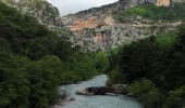 Tour Wandern Rougon - Rancoumas - Photo 8