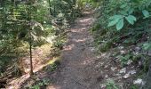 Trail Walking Ottenhöfen im Schwarzwald - Karlsruher Gray - Photo 14