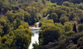 Tocht Stappen Les Arcs-sur-Argens - Trace_Les_Arcs - Photo 3