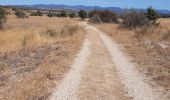 Tour Wandern Saint-Maurice-Navacelles - GRP La Vaquerie - Photo 5