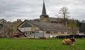 Trail On foot Hamoir - Promenade de Fairon - Photo 9