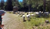 Percorso Marcia Dourbies - saint sauveur de camprieu - Photo 4