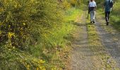 Tour Wandern Houyet - Houyet - Photo 11