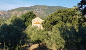 Trail Walking Sainte-Lucie-de-Tallano - Santa Luccia a Burgo - Photo 8