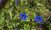 Trail Walking Saint-Martin-de-Clelles - Goût ARGOUD 24-05-2021 - Photo 2