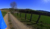 Trail Mountain bike La Roche-en-Ardenne - activity_8670328691 - Photo 15