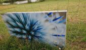 Tour Wandern Steinbiedersdorf - expo nature Faulquemont  - Photo 4