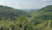 Trail Walking Sainte-Ode - Lavacherie - Photo 7
