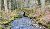 Tocht Te voet Friedrichroda - Kleiner Rundwanderweg Finsterbergen - Photo 2