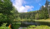 Trail Walking Bad Peterstal-Griesbach - Buhlbachsee & Lotharpfad - Photo 9