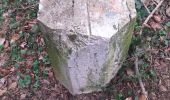 Randonnée Marche Beure - Beure de la pisseur au mercureau  - Photo 14