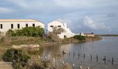 Excursión Senderismo Frontignan - les anciens salins de frontignan - Photo 3