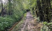 Trail Walking Aix-en-Issart - Sentier du paradis - Photo 1