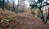 Percorso A piedi Deutschlandsberg - Weinberg-Rundweg - Photo 2