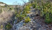 Tour Wandern Flassan - Le trèfle des Grangeons - Photo 11